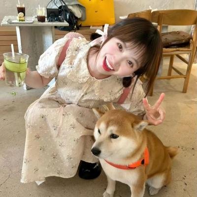 鸡毛梦想